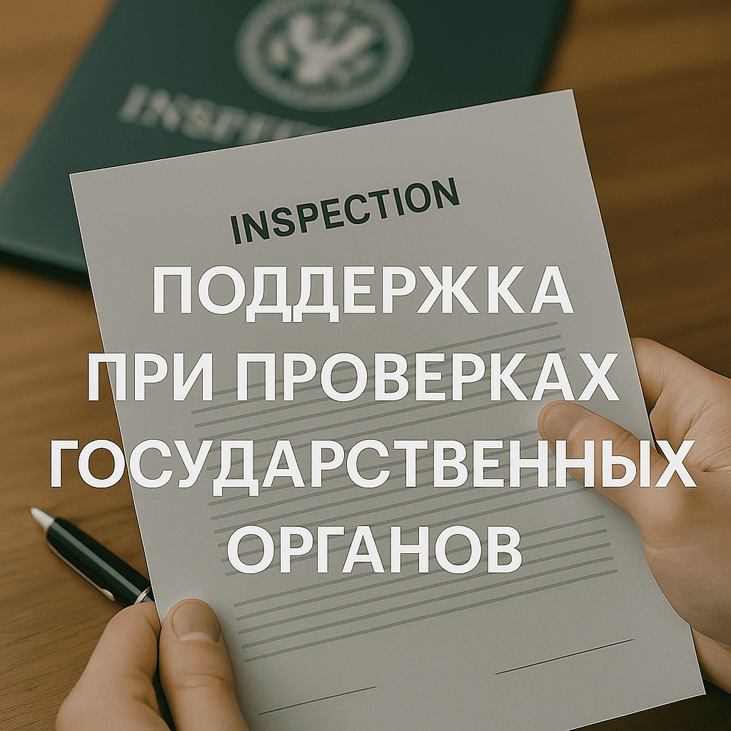Виды проверок при юридической поддержке от государственных органов